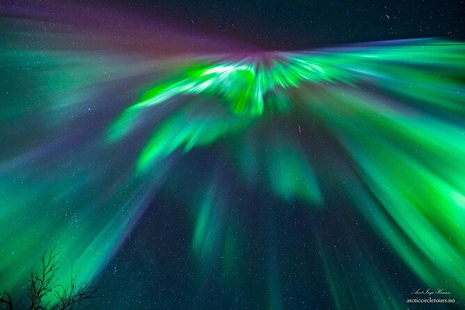 Northern Lights Tour, Photo, Toilet, Meal, Skycam in Mbus - Meeting at Ami Hotel and getting ready for the Arctic night