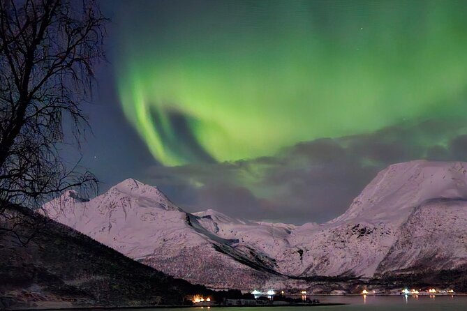 Northern Lights Tour, Tromso, Local Guide, Private Basecamp - Meeting Trygve at Magic Ice Bar