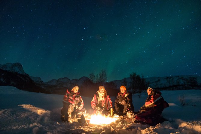 Northern Lights tour with Alta Adventure - Key points at a glance