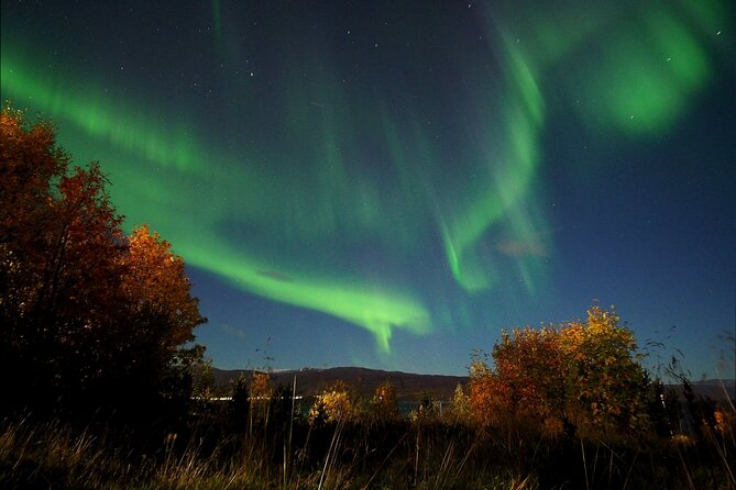 Northern Lights tour with Alta Adventure - What happens when the lights appear