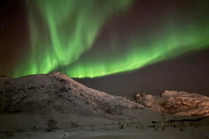 Northern Lights Tour with Hot Food and Drinks in Tromso - Small group advantages and limits