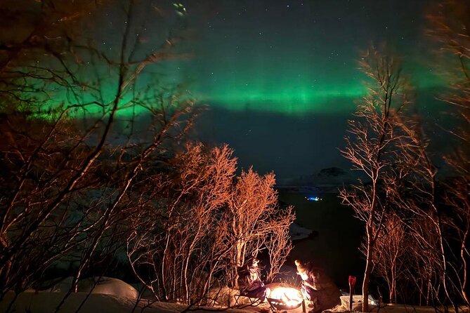 Northern Lights Tour with Hot Food and Drinks in Tromso - Who will get the most from this tour