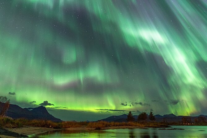 Northern Lights Tour with Local Guide and Photos - Is $198.50 a fair price?