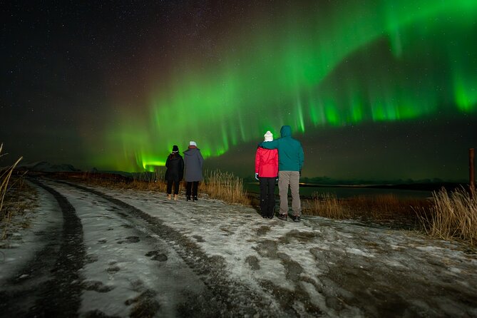Northern Lights Tours Bodo Norway - Why Bodø is a strong base for an aurora hunt