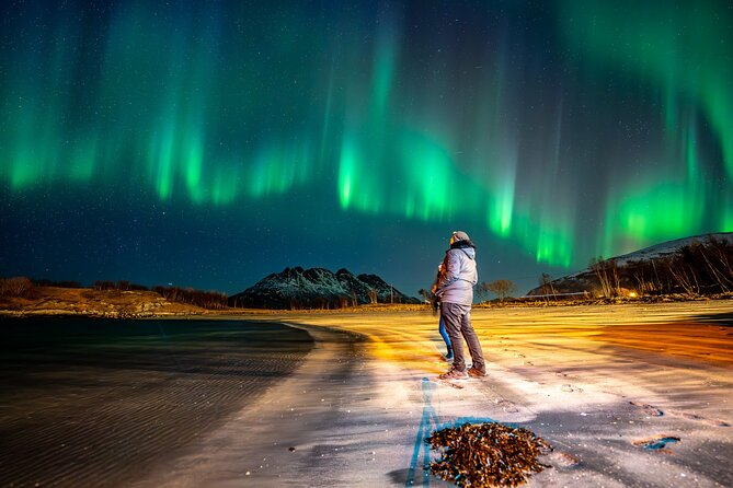 Northern Lights Tours Bodo Norway - Following clear skies instead of waiting in town