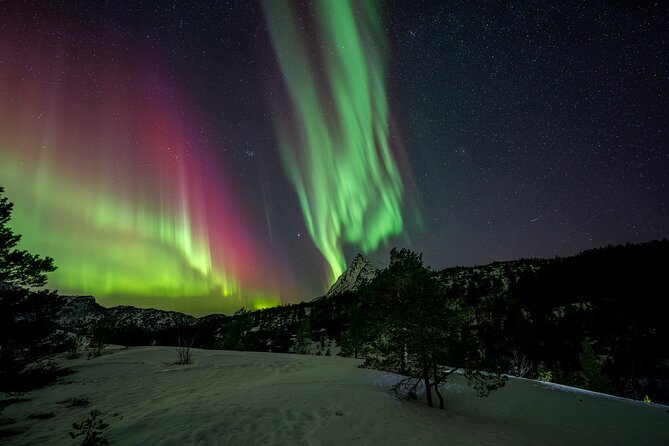 Northern Lights Tours Bodo Norway - Who will enjoy this night most