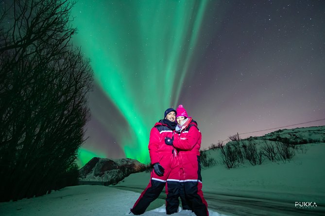 Northern Lights x Mini Bus Chase - Key points to know before booking