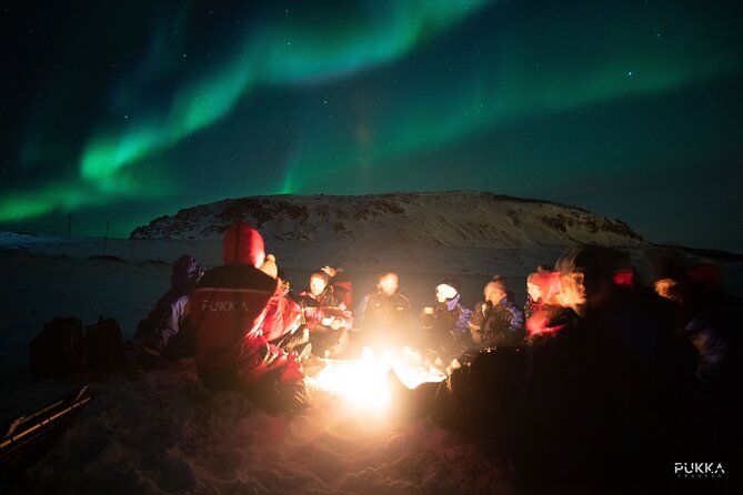 Northern Lights x Mini Bus Chase - Why this Tromsø minibus chase works