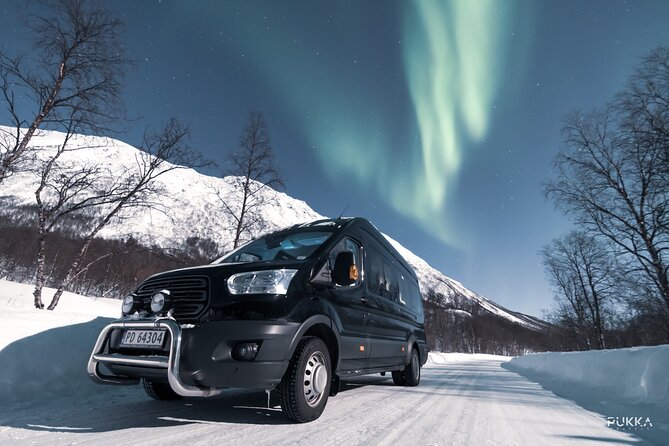 Northern Lights x Mini Bus Chase - Who should choose this outing?