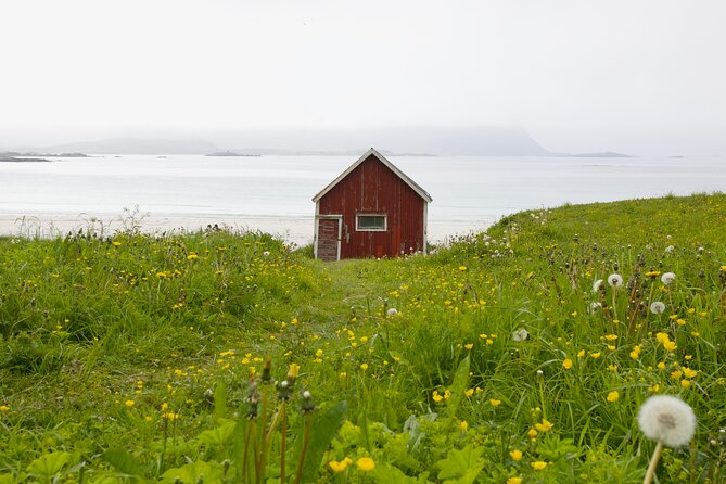 Norway Lofoten Private Shore Excursion from Leknes - Key points to know before you book