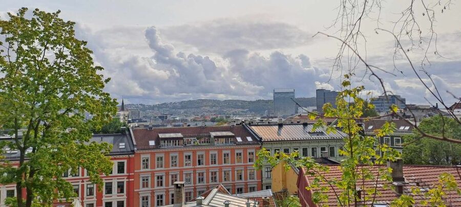 Norwegian Food Tour & Hidden Gems of Oslo - Why this Oslo food walk feels different