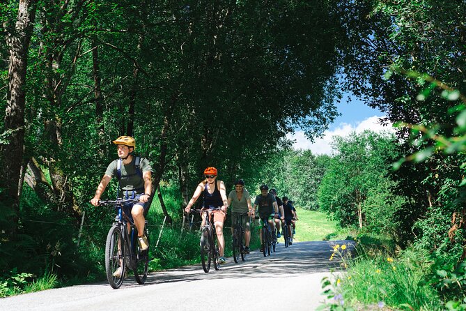Olden: Fjord e-bike tour - Key points to know before you book