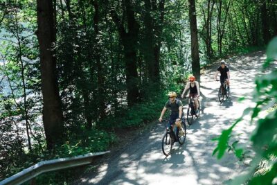 Olden: Fjord e-bike tour