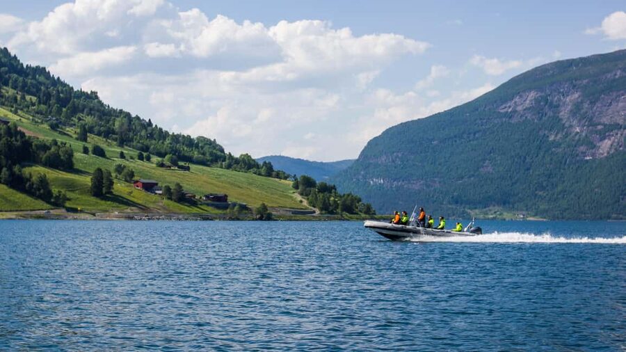 Olden: Nordfjord RIB Boat Tour with Live Commentary - Key Points Before You Book