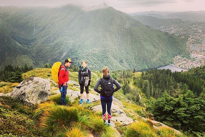 On Top of Bergen - Public Tour - Who will enjoy this Bergen experience most?