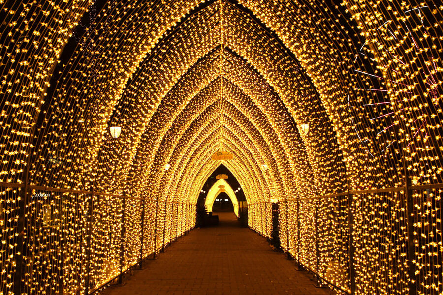 Oslo: 2-hour Christmas Private Walking Tour - Nobel Peace Center and Oslo City Hall