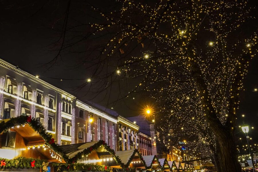 Oslo: 2-hour Christmas Private Walking Tour - The Royal Palace as the final landmark