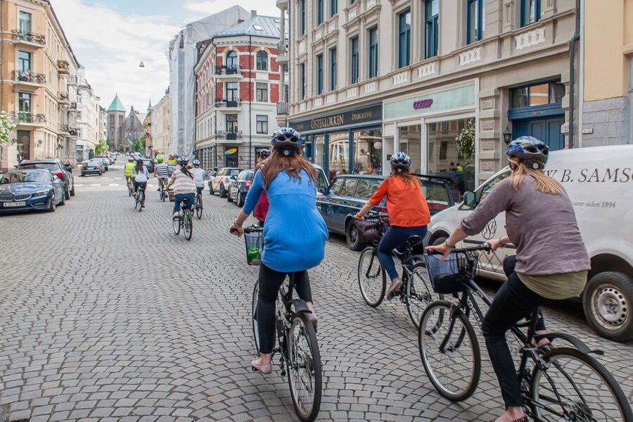 Oslo: 3-Hour Highlights Bike Tour - How hard is the ride?