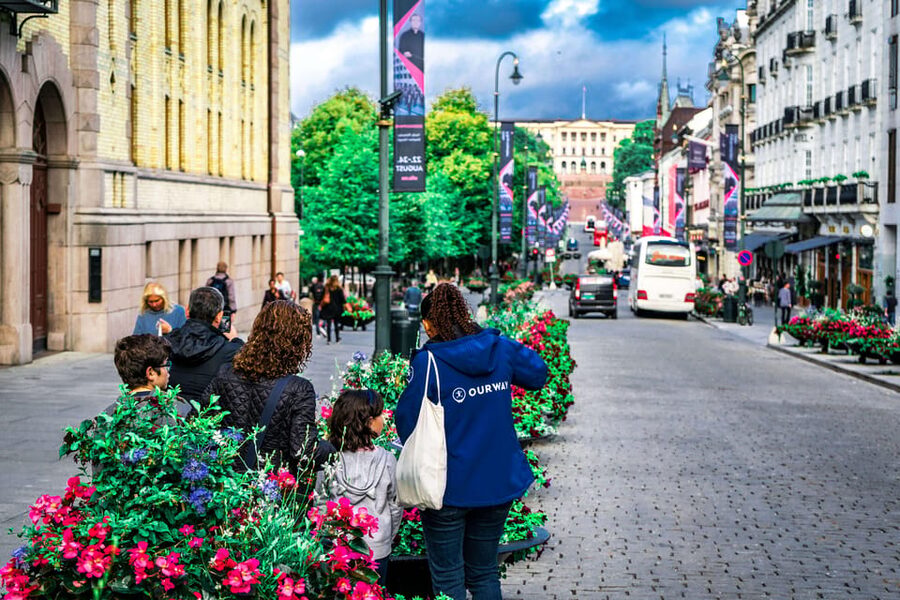 Oslo: 3-hour Highlights & Vigeland Park Private Walking Tour - The Royal Palace and Parliament