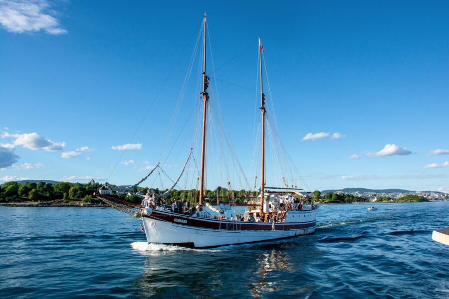 Oslo: Best of Oslo Walking Tour & Fjords Sightseeing Cruise - Bygdøy, museums, and Huk Beach