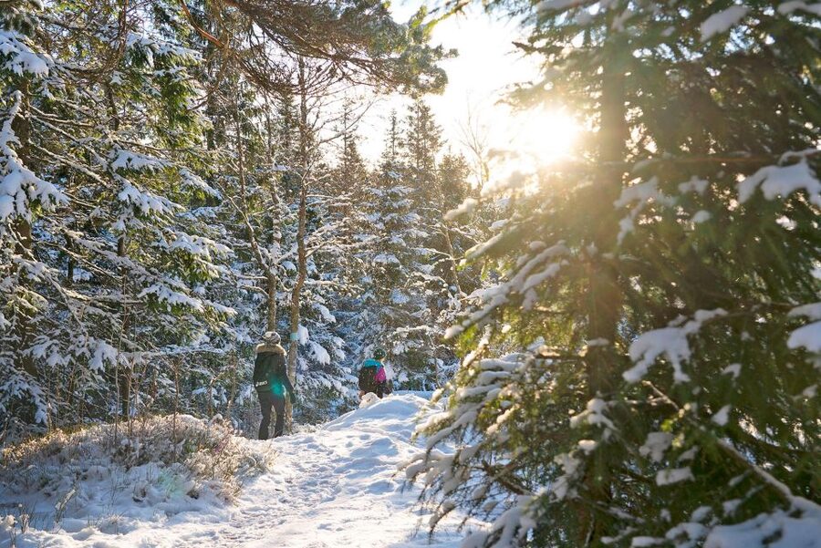 Oslo: Best View of the Oslofjord Winter Edition - Who will enjoy this most