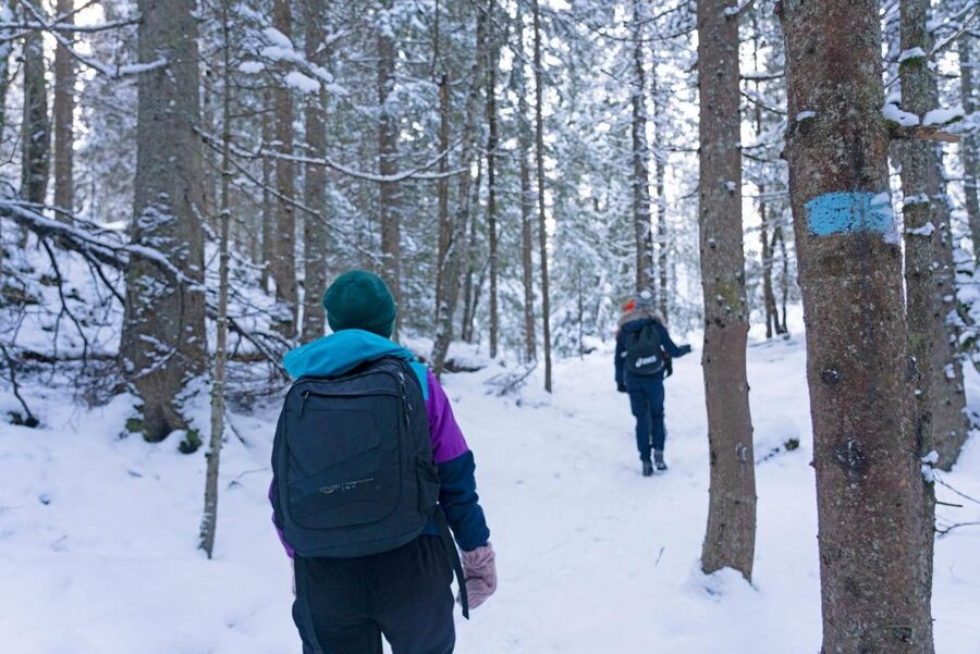Oslo: Best View of the Oslofjord Winter Edition - What the $105 price really buys you