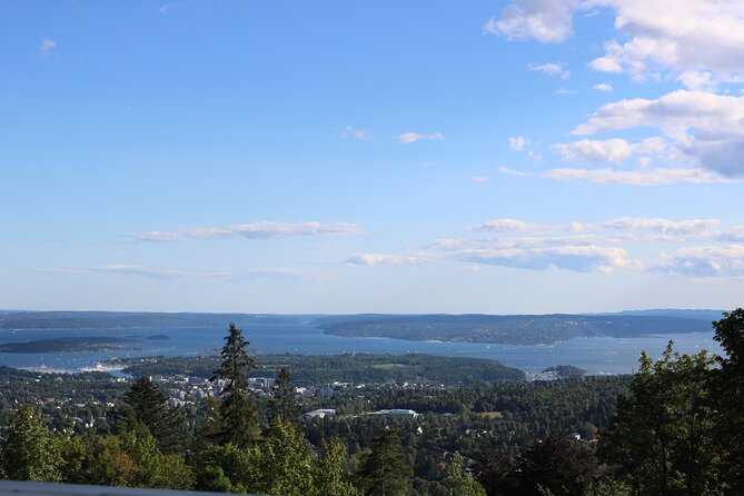 Oslo City Highlights with Fjord Cruise - Who will enjoy this Oslo tour most?