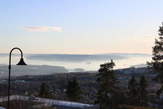 Oslo City Highlights with Fjord Cruise - Should you book Oslo City Highlights with Fjord Cruise?