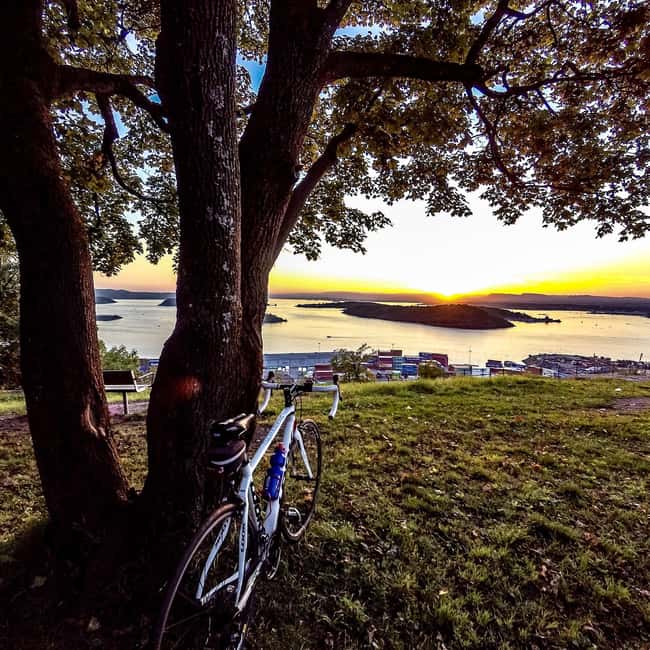 Oslo El-Bike Panorama Tour - Vigeland Park brings sculpture into the open air