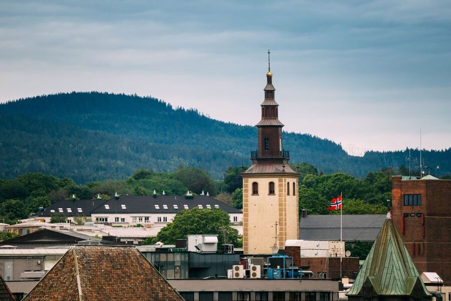 Oslo: Express Walk with a Local in 60 minutes - Meeting The Tiger and finding Oslo’s symbols