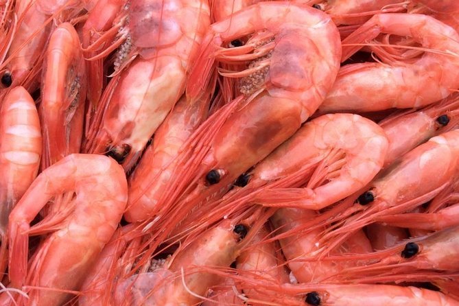 Oslo Fjord Evening Cruise with Shrimp Buffet on a Sailing Ship - What the three hours feel like