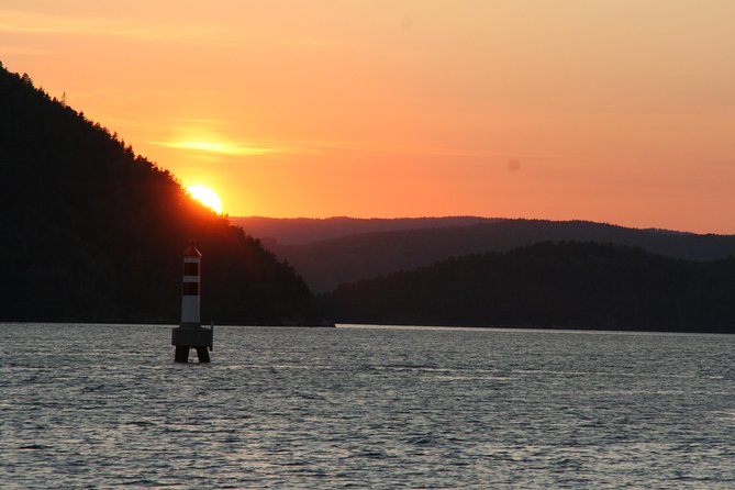 Oslo Fjord Evening Cruise with Shrimp Buffet on a Sailing Ship - Practical tips for a smoother evening