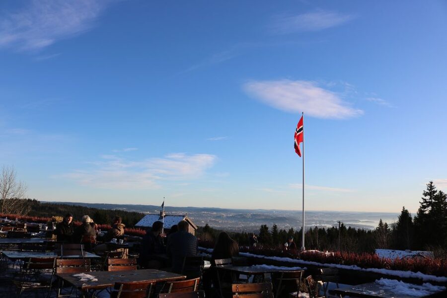 Oslo: Guided Oslo Highlights Tour by bus & Oslofjord cruise - Who should book this Oslo tour?