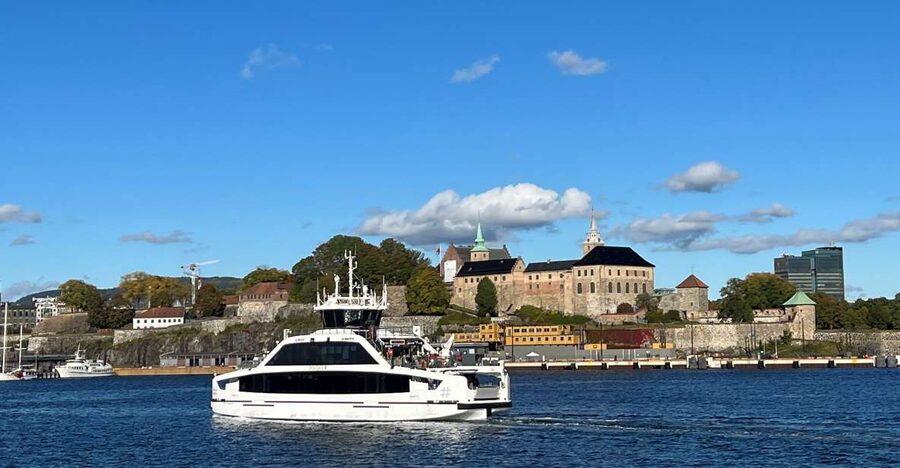 Oslo: Guided Oslo Highlights Tour by bus & Oslofjord cruise - An hour among Vigeland’s human sculptures