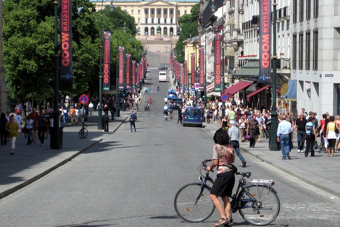 Oslo Highlights Bike Tour - Frognerparken and Vigeland’s sculptures