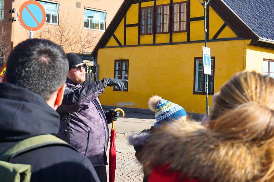 Oslo: History, Art and Secrets Tour - Starting at the Royal Palace