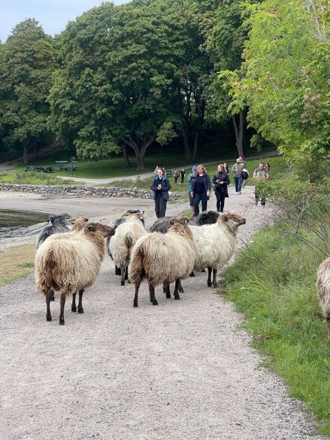 Oslo Island Walks: Island Hopping Tour - Gressholmen: Oslo’s quieter, wilder side