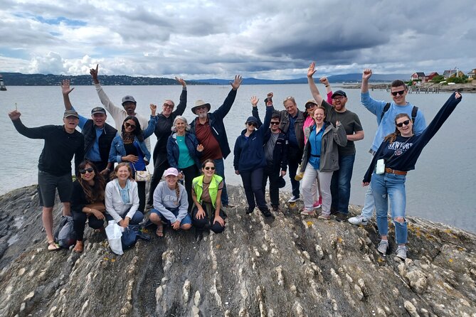 Oslo Nature Walks: Island hopping - The second island: cabins, shoreline, and Oslo’s everyday side