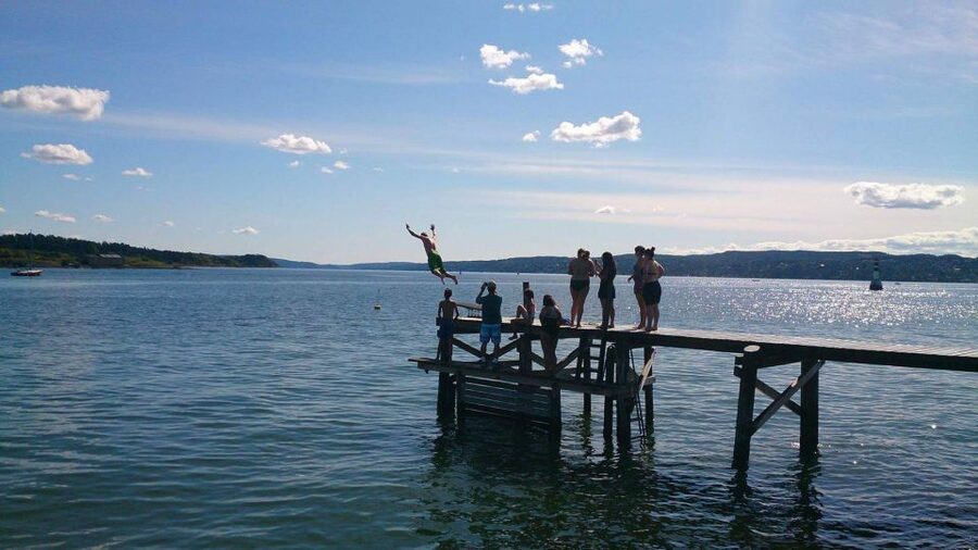 Oslo Nature Walks: Island Hopping Tour - Lindøya: Cabins, Flowers, and Oslo’s Summer Rhythm