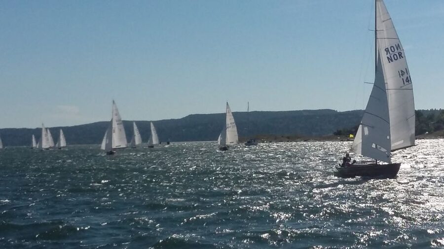 Oslo Nature Walks: Island Hopping Tour - Ferry Rides That Complete the Picture