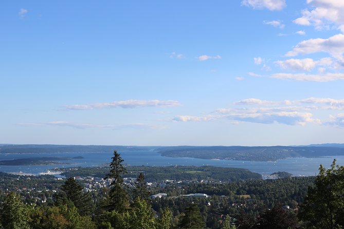 Oslo Panorama Tour with Holmenkollen Ski Jump and Vigeland Park - Holmenkollen Ski Jump and the Oslo view