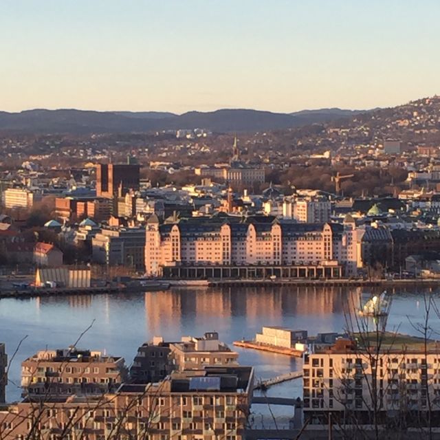 Oslo: Panoramic View and Sculpture Park Walk - Who should book this Oslo tour?