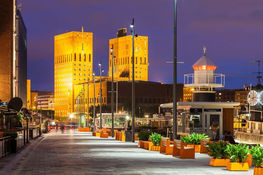 Oslo: Private City Center Highlights Guided Walking Tour - Walking pace, accessibility, and group comfort