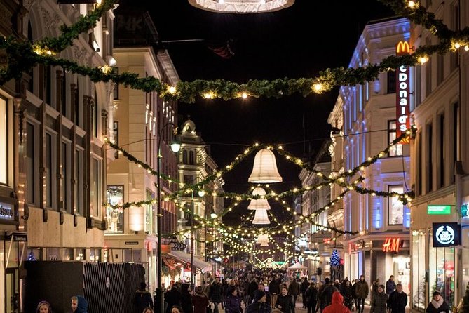 Oslo: Private VIP City Tour by Luxury Minivan with Driver & Guide - What private flexibility really means