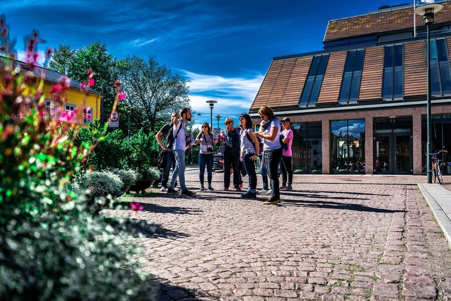 Oslo: Private Walking Tour - Oslo City Hall and the Nobel Peace Prize