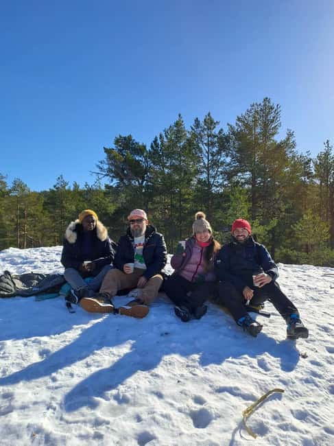 Oslo: Scenic Forest Hike with Dog & Local Guide - Key points to know before booking