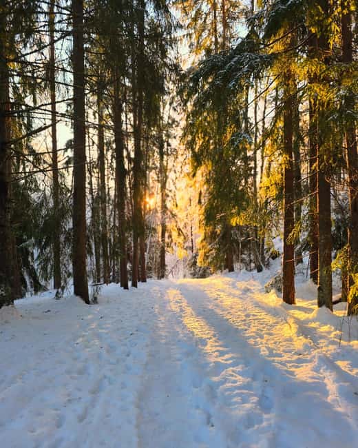 Oslo: Scenic Forest Hike with Dog & Local Guide - Who should book this hike