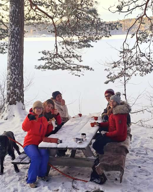 Oslo: Scenic Forest Hike with Dog & Local Guide - Why this forest walk makes a good Oslo side trip
