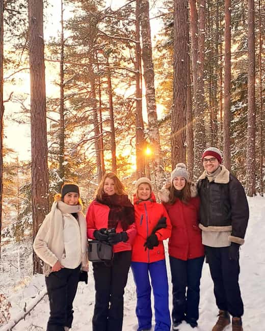 Oslo: Scenic Forest Hike with Dog & Local Guide - Climbing to the 153-meter viewpoint