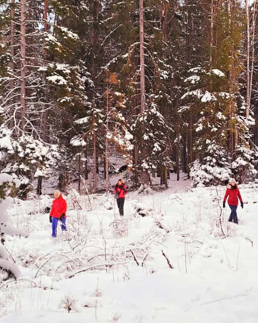Oslo: Scenic Forest Hike with Dog & Local Guide - What changes in winter